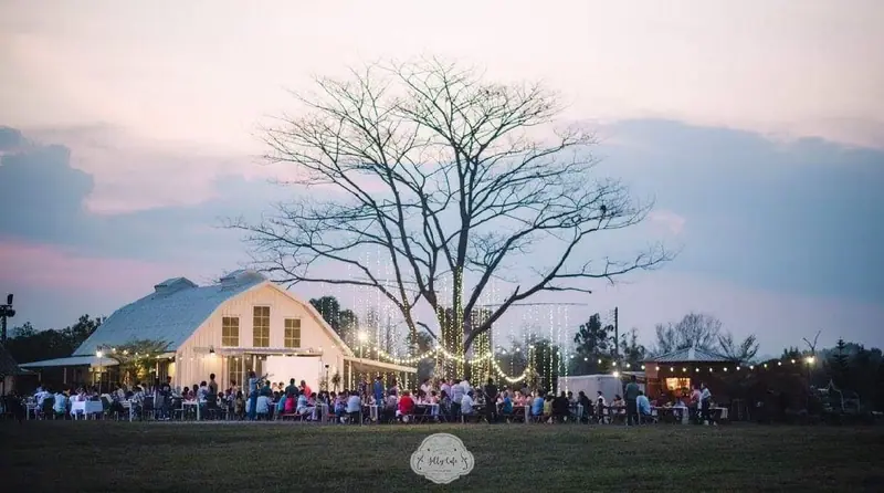 Jolly Cafe Khao Koh, Petchaboon, Thailand — ภาพที่ 7 ผลงานสถาปัตยกรรมโดย MAKE IT POP