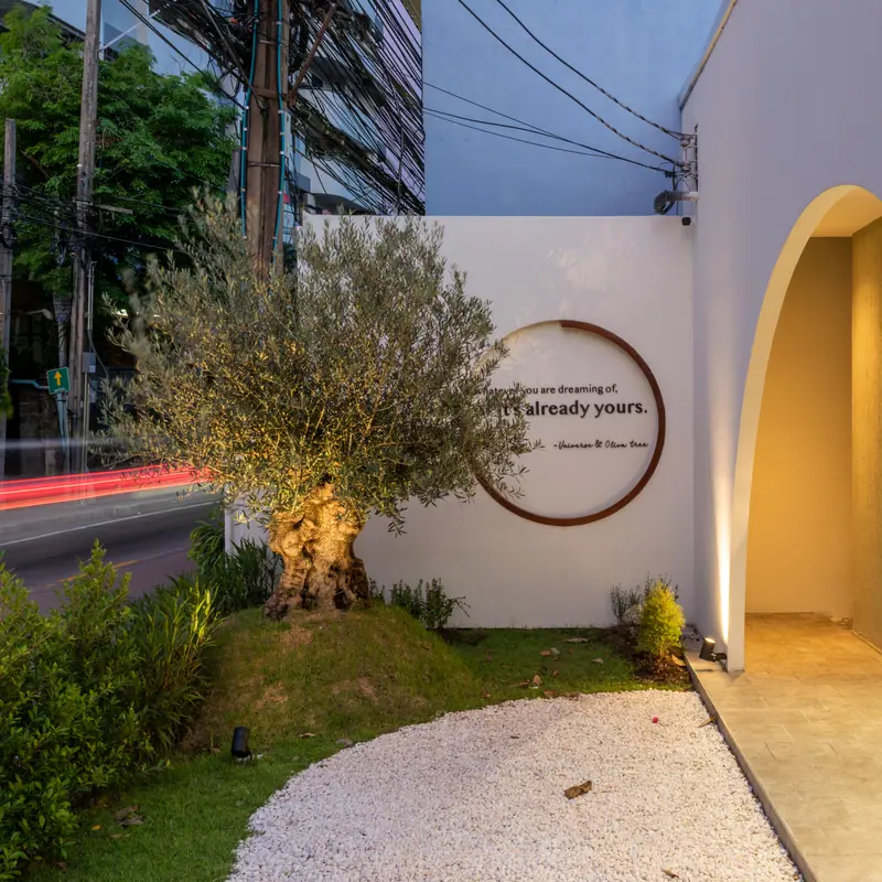 Oliva Clinic Ari, Thailand — ภาพที่ 3 ผลงานตกแต่งภายในโดย MAKE IT POP