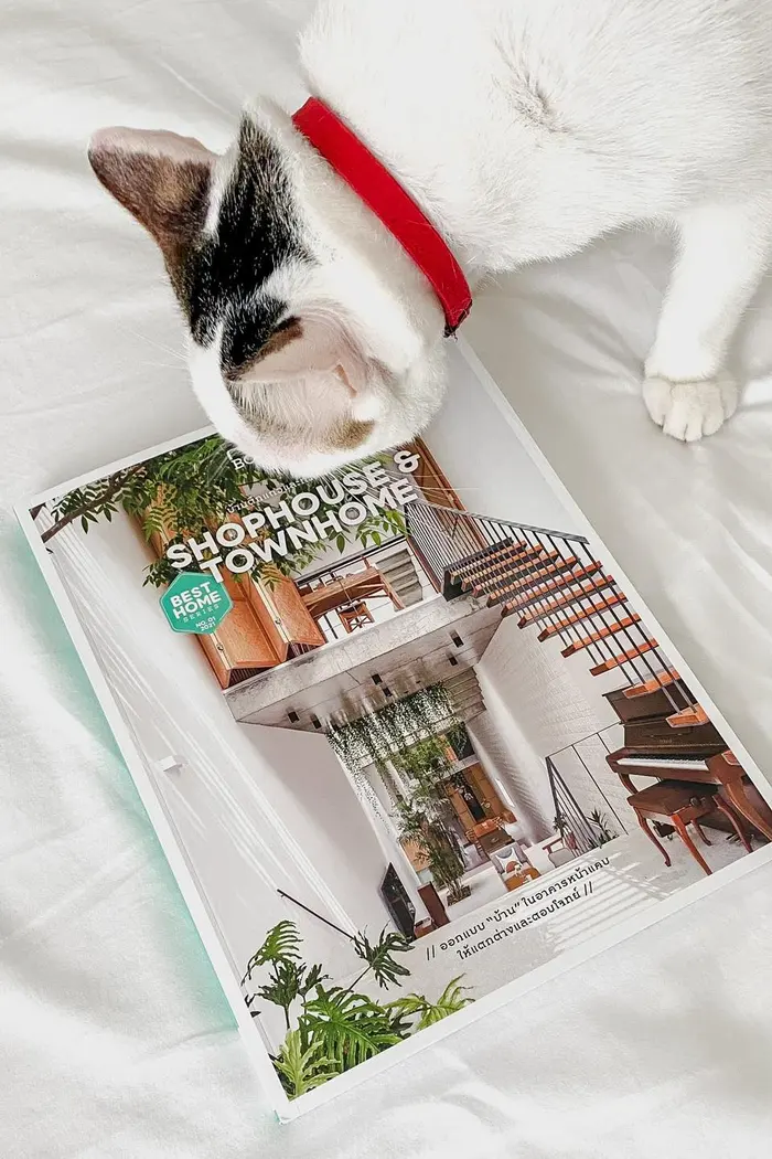 Baan Lae Suan, Shophouse & Townhome issue